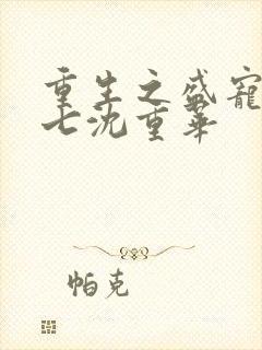 重生之盛宠h沈七沈重华