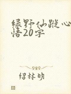 绿野仙踪心得感悟20字