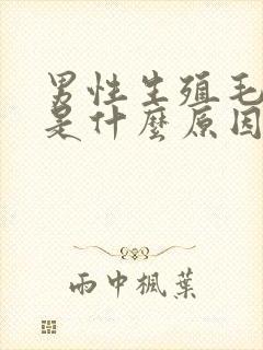 男性生殖毛处痒是什么原因造成的