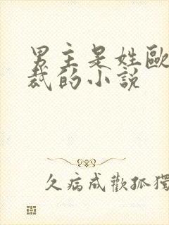 男主是姓欧的总裁的小说