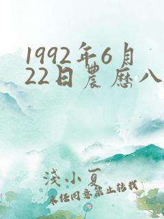 1992年6月22日农历八字
