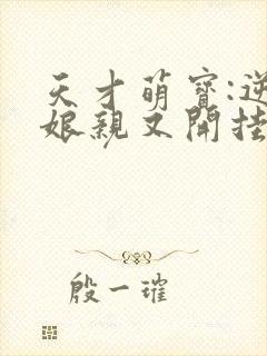 天才萌宝:逆天娘亲又开挂了小说