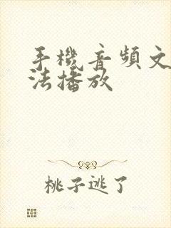 手机音频文件无法播放