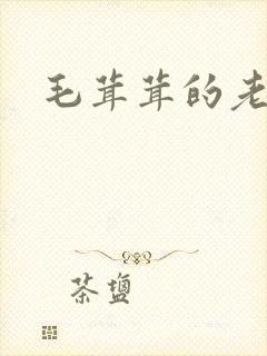 毛茸茸的老太婆