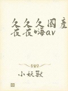 久久久国产精品夜夜嗨av