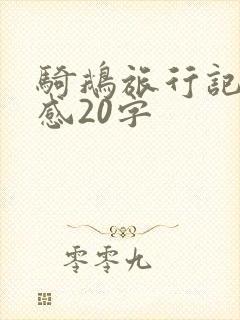 骑鹅旅行记读后感20字