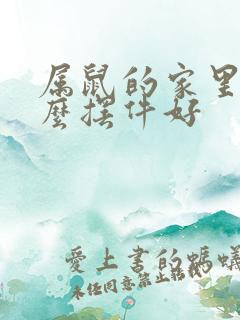 属鼠的家里放什么摆件好