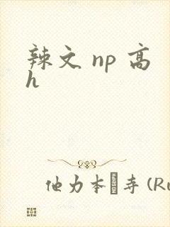 辣文 np 高h