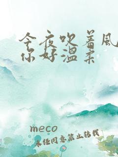 今夜吹着风想起你好温柔