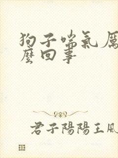 狗子喘气厉害怎么回事