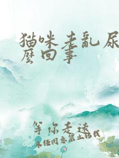 猫咪老乱尿是怎么回事