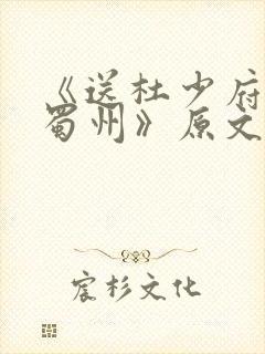 《送杜少府之任蜀州》原文