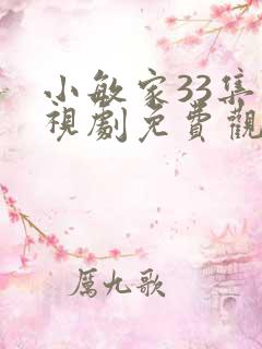 小敏家33集电视剧免费观看