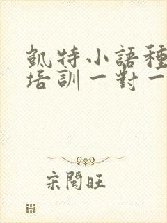 凯特小语种口语培训一对一