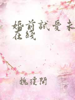 婚前试爱未删版在线