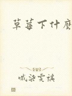 草莓下什么肥好