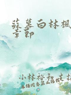 苏慕白林枫最新章节