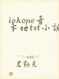 iphone看本地txt小说软件