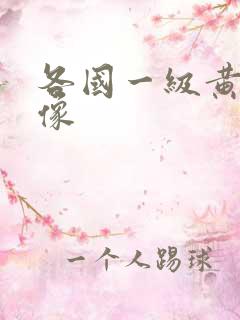 各国一级黄色录像