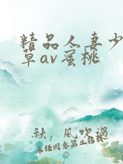 精品人妻少妇嫩草av蜜桃