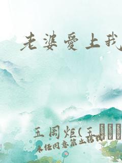 老婆爱上我听书