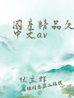 国产精品久久久中文av