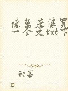 亿万老婆买一送一全文txt下载