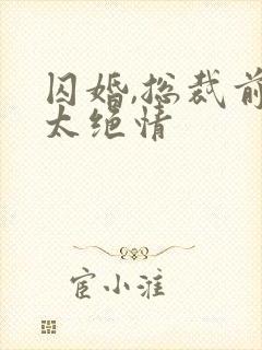 囚婚,总裁前夫太绝情