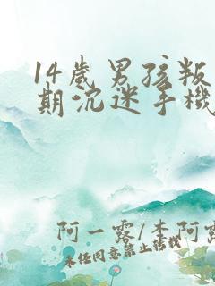 14岁男孩叛逆期沉迷手机怎么管教
