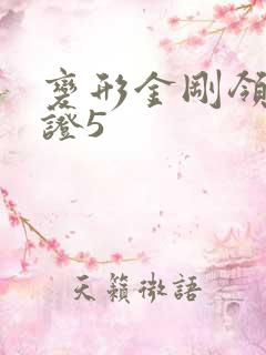 变形金刚领袖之证5