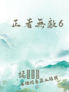 正者无敌6