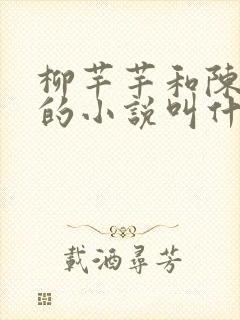 柳芊芊和陈书桓的小说叫什么名字