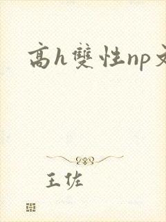 高h双性np文