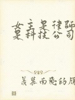 女主是律师男主是科技公司老板的小说