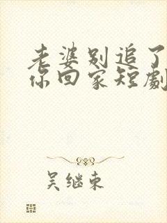 老婆别追了我跟你回家短剧演员表