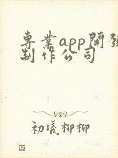专业app开发制作公司