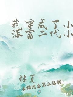 我穿成了小说反派富二代小说