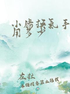 小肠换气手术费用多少