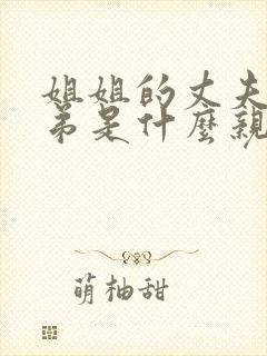 姐姐的丈夫和弟弟是什么亲属关系