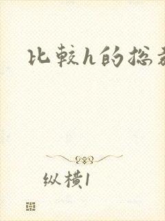 比较h的总裁文