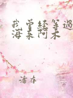 我曾经等过你 海来阿木