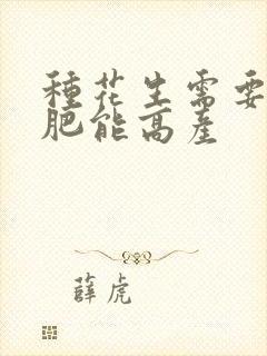种花生需要什么肥能高产