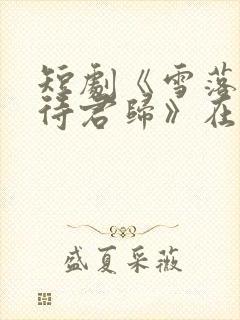 短剧《雪落人间待君归》在线观看