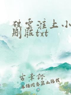 破云淮上小说未删版txt