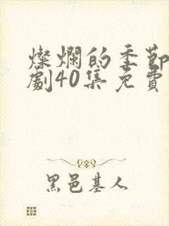 灿烂的季节电视剧40集免费观看