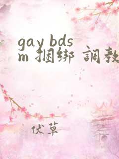 gay bdsm 捆绑 调教 男奴