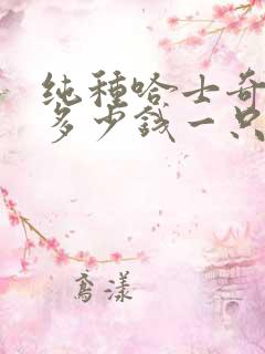 纯种哈士奇小狗多少钱一只