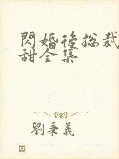 闪婚后总裁娇妻甜全集