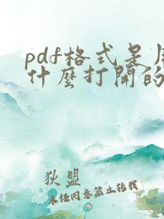pdf格式是用什么打开的