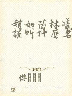 赵如茵林曦安小说叫什么名字